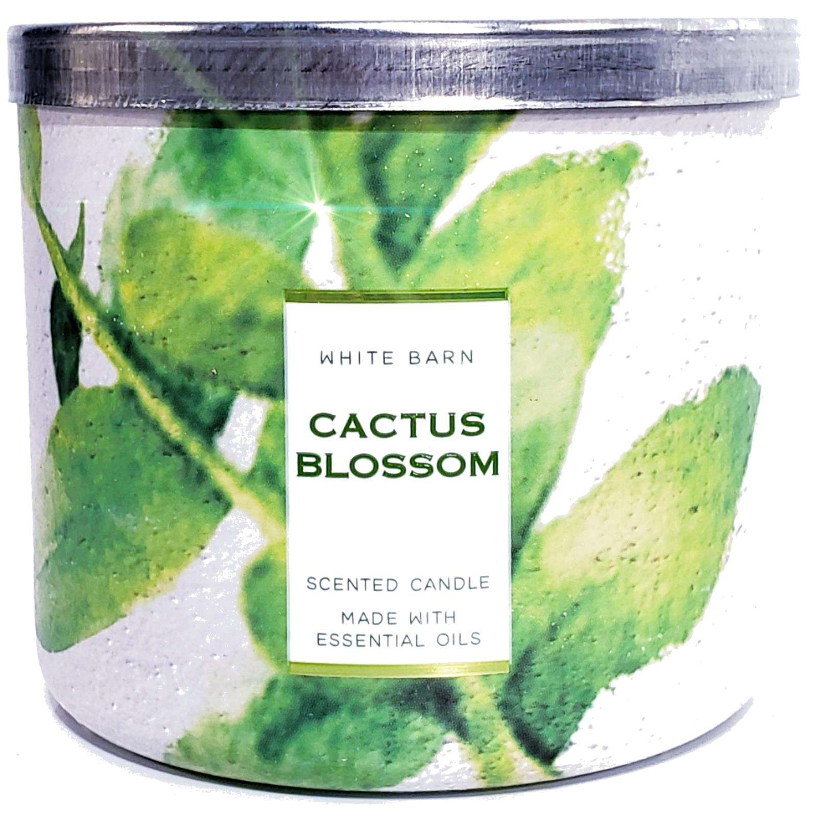 Bath & Body Works Bath and Body Works Cactus Blossom 3-Wick